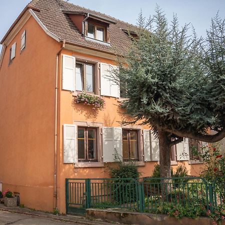 Gite La Grange Eguisheim Exterior foto